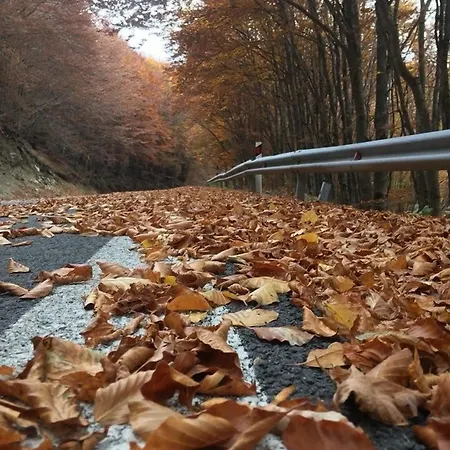 Άγιος Γερμανός 4*