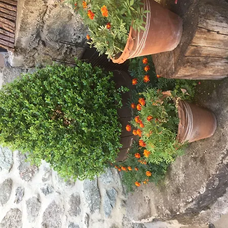 Ξενοδοχείο Άγιος Γερμανός Άγιος Γερμανός