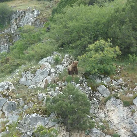 Ξενοδοχείο Άγιος Γερμανός 4*