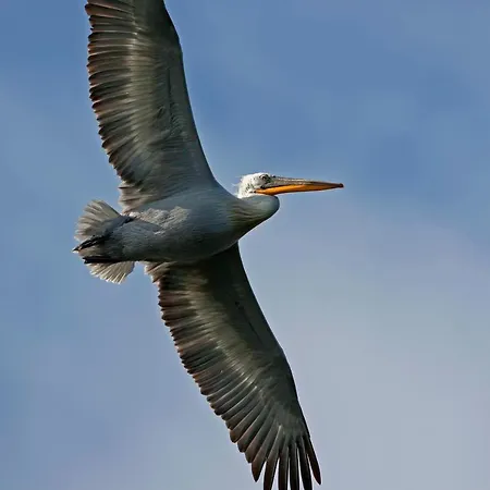 Άγιος Γερμανός 4*