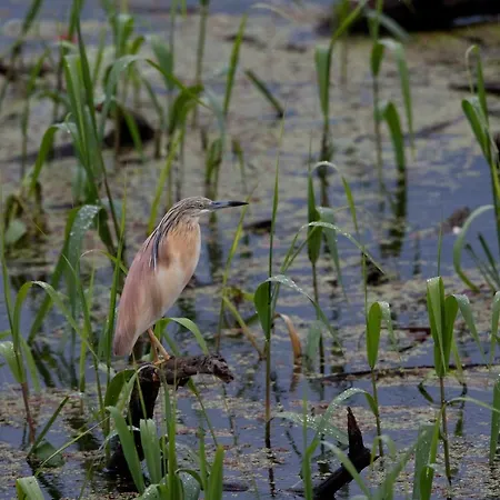 Ξενοδοχείο Άγιος Γερμανός 4*