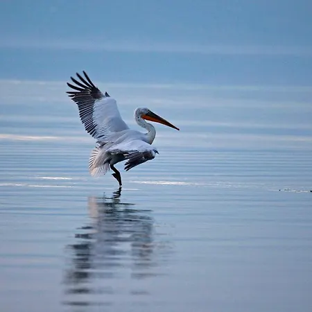 Ξενοδοχείο Άγιος Γερμανός 4*
