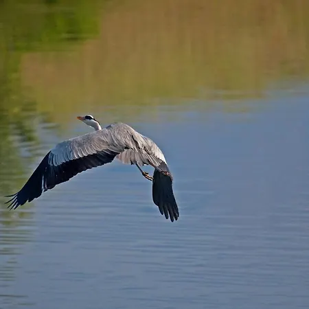 Άγιος Γερμανός 4*