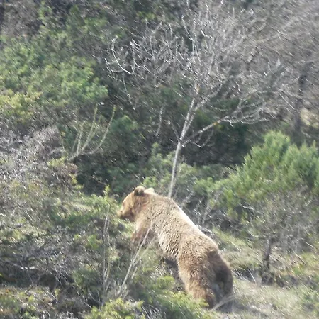 Άγιος Γερμανός Άγιος Γερμανός