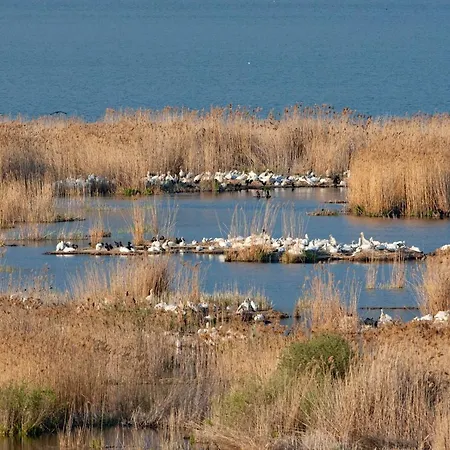 Ξενοδοχείο Άγιος Γερμανός 4*