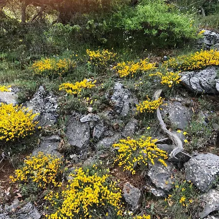 Ξενοδοχείο Άγιος Γερμανός