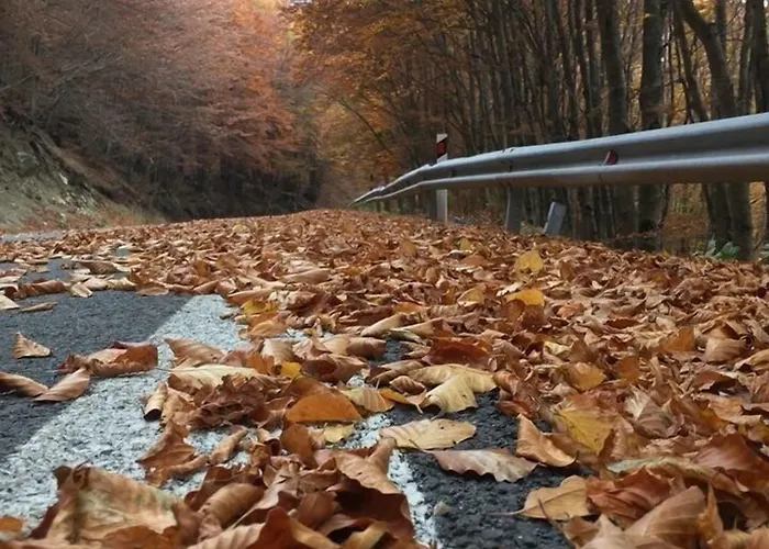 Agios Germanos Hotel 4*