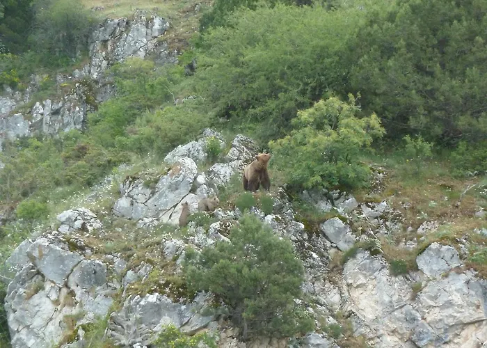 Hotel Agios Germanos hotel prespes 4*