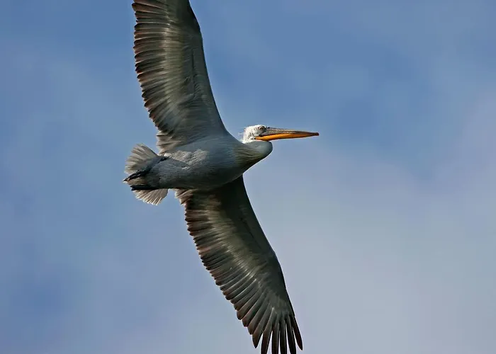 Agios Germanos hotel prespes 4*