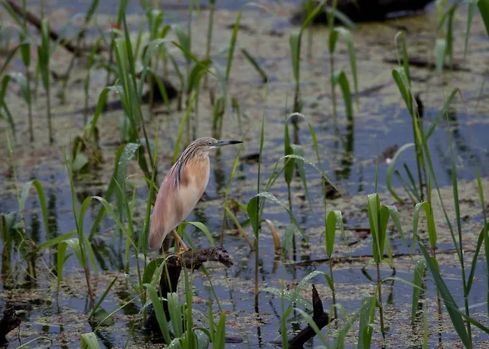 Hotel Agios Germanos Hotel 4*