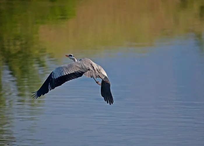 Agios Germanos hotel prespes 4*