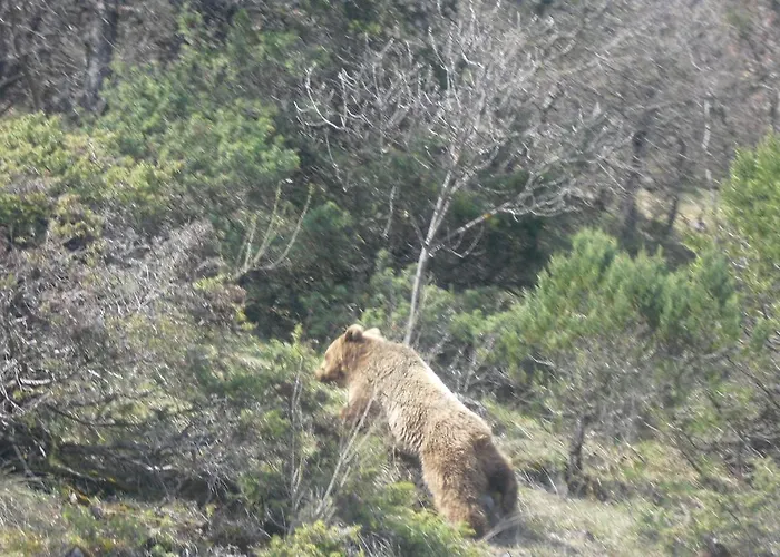 Agios Germanos hotel prespes Agios Germanós