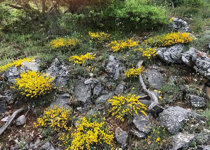 Hotel Agios Germanos hotel prespes